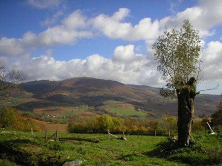 La Begude D'Amalthee Villa Vernay Dış mekan fotoğraf